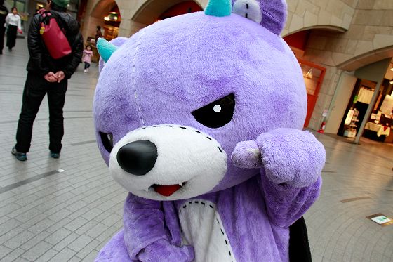 top akkuma.jpg